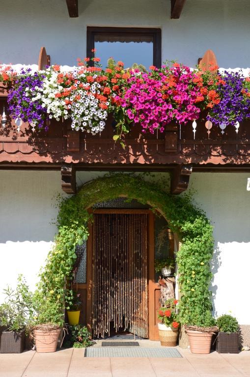 Hinterankerwald Apartment Walchsee Exterior photo